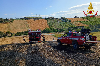 Incendio di sterpaglie a Fermo, minacciata una struttura sportiva
